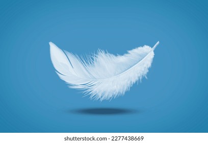 Abstract White Bird Feather Falling in The Air. Float Feather
