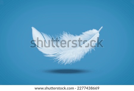 Abstract White Bird Feather Falling in The Air. Float Feather
