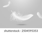 Abstract White Bird Feathers Falling in The Air. Floating Freely, Peace. Softness of Floating Feathers. Feather on Gray Background.	
