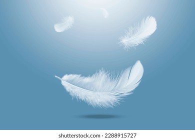 Abstract White Bird Feathers Falling in The Air. Floating Feathers in Heavenly	
