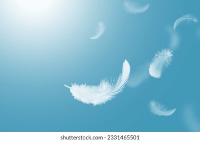 Abstract White Bird Feathers Falling in The Sky. Feathers Floating in Heavenly.	
