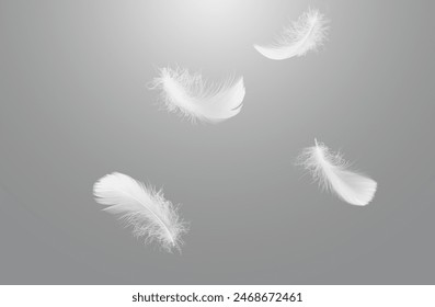 Abstract White Bird Feathers Falling in The Sky. Softness of Feathers flying in Heavenly. Feathers on Gray Background. - Powered by Shutterstock