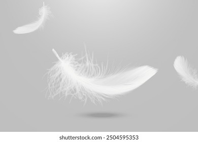 Abstract White Bird Feathers Falling in The Air. Floating Freely, Peace. Softness of Floating Feathers. Feather on Gray Background.	
