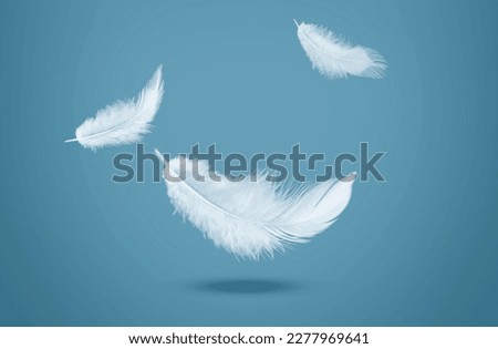 Abstract White Bird Feathers Falling in The Air. Feathers Floating in Heavenly	
