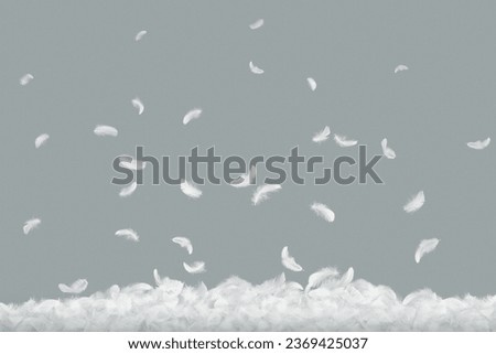 Abstract White Bird Feathers Falling on Floor. Softness of Feather on Gray Background.