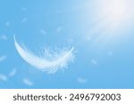 Abstract White Bird Feathers Floating in A Blue Sky. Softness of Feathers Falling in Heavenly.	