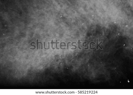 abstract white dust explosion on a black background.abstract powder splatted background,Freeze motion of color powder exploding/throwing color powder, multicolor glitter texture