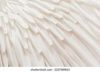 Abstract white feather background, soft color, art design, texture