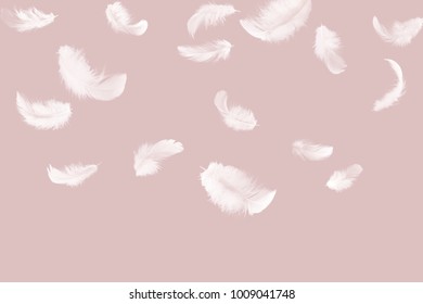 Abstract White Feathers Falling In The Air, On Pink Background