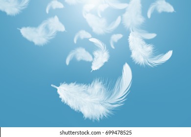 3,259,834 Feather Stock Photos, Images & Photography | Shutterstock