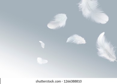 Abstract White Feather Floating Air Stock Photo (edit Now) 1007713810