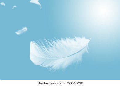 Abstract White Feathers Floating Sky Blue Stock Photo 750568039 ...