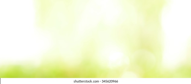 Abstract white green gradient panoramic header background