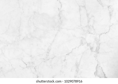 Abstract white marble background with natural motifs. - Shutterstock ID 1029078916
