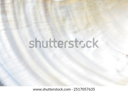 Abstract white pearl shell background texture