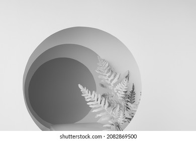 Abstract White Stage With Podium, Tunnel Of Round Shift Frames, White Fern Leaves, Perspective, Shadows, Scene Mockup In Simple Soft Light Floral Style For Presentation Cosmetic Product Or Goods.