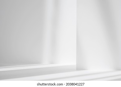 Abstract white studio background for product presentation. Empty gray room with shadows of window. Display product with blurred backdrop. - Shutterstock ID 2038041227