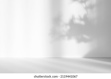 Abstract white studio background for product presentation. Empty room with shadows of window and flowers and palm leaves . 3d room with copy space. Summer concert. Blurred backdrop. - Shutterstock ID 2119441067
