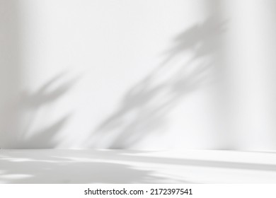 Abstract white studio background for product presentation. Empty room with shadows of window and flowers and palm leaves . 3d room with copy space. Summer concert. Blurred backdrop. - Powered by Shutterstock