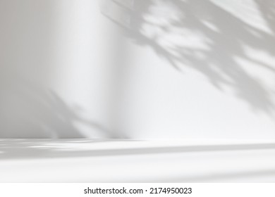 Abstract white studio background for product presentation. Empty room with shadows of window and flowers and palm leaves . 3d room with copy space. Summer concert. Blurred backdrop. - Shutterstock ID 2174950023