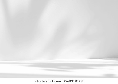 Abstract white studio background for product presentation. Empty room with shadows of window and flowers and palm leaves . 3d room with copy space. Summer concert. Blurred backdrop. - Shutterstock ID 2268319483