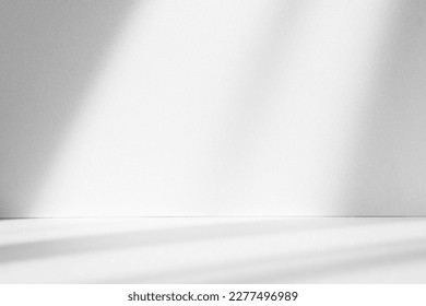 Abstract white studio background for product presentation. Empty room with shadows of window. Display product with blurred backdrop. - Shutterstock ID 2277496989
