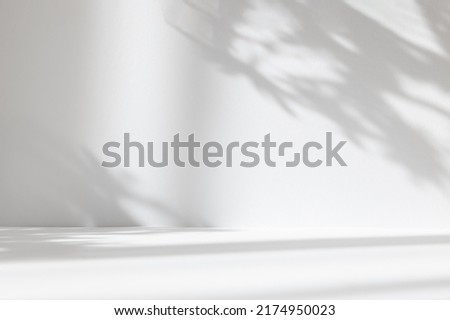 Abstract white studio background for product presentation. Empty room with shadows of window and flowers and palm leaves . 3d room with copy space. Summer concert. Blurred backdrop.