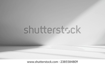 Abstract White Studio Background for Product Presentation with Window Shadows and Sunlight. Blurred Backdrop. Empty Room With Copy Space.