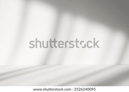 Abstract white studio background with shadows of window. Empty 3d room. Display product with blurred backdrop.