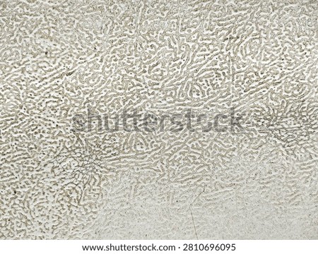 Abstract white textured background with unique labyrinth or coral-like patterns and subtle cracks.