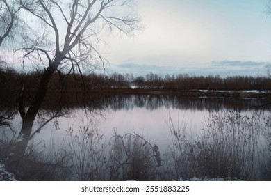 Abstract winter landscape with layered textures of bare trees and still water. - Powered by Shutterstock