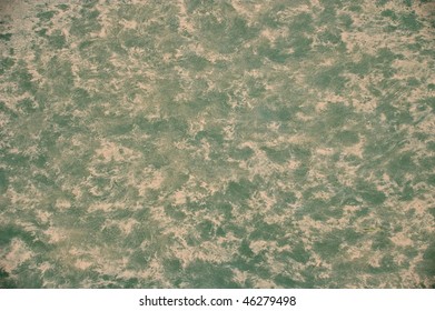 Abstract Yellow And Green Background Of Coral Spawn