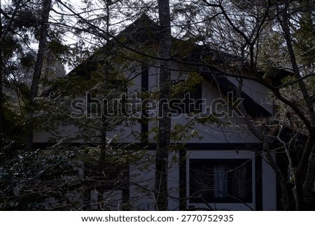  An abstract yet concrete composition capturing traditional wooden construction techniques through a modern lens. The form, stripped of unnecessary decoration, brings profound calm and peace to the viewer's heart.                              