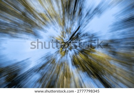 Abstract zoom out image of trees in a forest with light blue sky a d a mix of greens and brown radiating lines