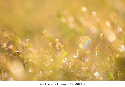 Abstract,Bokeh background
