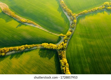 Abstraction agricultural area and green wavy fields in sunny day. Aerial photography, top view drone shot. Location place of Ukrainian agrarian region, Europe. Artistic wallpaper. Beauty of earth.