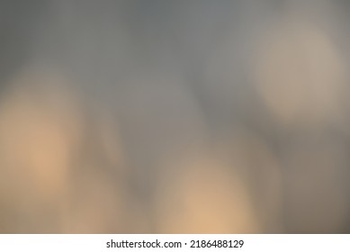 abstraction spikelets of wheat out of focus blurry photos defocus for background texture wheat field - Powered by Shutterstock