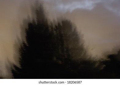 abstraction, trees in the nigth
