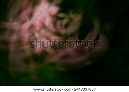 Image, Stock Photo A little flower. Nature