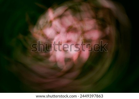 Similar – Image, Stock Photo A little flower. Nature