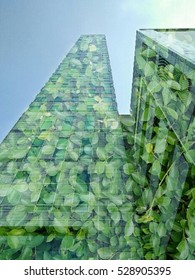 Abstract,Tower ons leaf