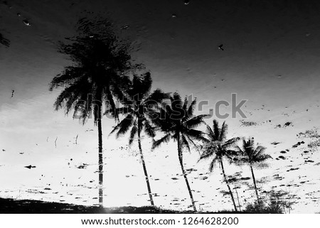 Baru 30++ Background Pemandangan Hitam Putih - Pemandangan Top Banget