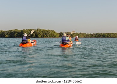 ABU DHABI, UAE - OCTOBER 10, 2014: Kayaking In Mangrove National Park, Abu Dhabi, United Arab Emirates. The Natural Mangrove Forests Are A Popular Playground For Outdoor Activities.