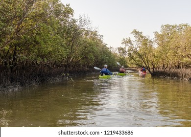 ABU DHABI, UAE - OCTOBER 10, 2014: Kayaking In Mangrove National Park, Abu Dhabi, United Arab Emirates. The Natural Mangrove Forests Are A Popular Playground For Outdoor Activities.