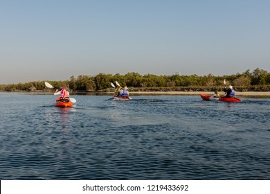 ABU DHABI, UAE - OCTOBER 10, 2014: Kayaking In Mangrove National Park, Abu Dhabi, United Arab Emirates. The Natural Mangrove Forests Are A Popular Playground For Outdoor Activities.