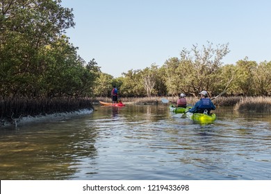 2,513 Mangrove kayaking Images, Stock Photos & Vectors | Shutterstock