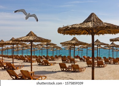 Abu Dhabi, UAE, sea beach, Sir Bani Yas island - Shutterstock ID 1575859339