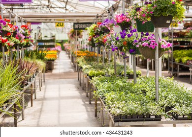 254,570 Garden centres Images, Stock Photos & Vectors | Shutterstock