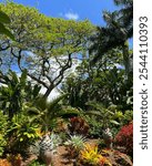 An abundance of greenery in Lanai, Hawaii