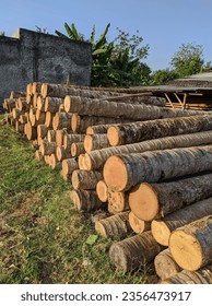 Abundance of Timber Logs Stacked at a Busy Wood Cutting Site, Illustrating the Forestry Industry's Raw Materials - Shutterstock ID 2356473917
